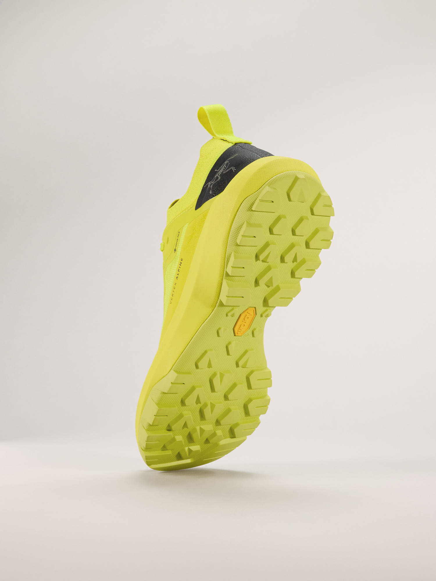 Vertex Alpine GTX Shoe Men's