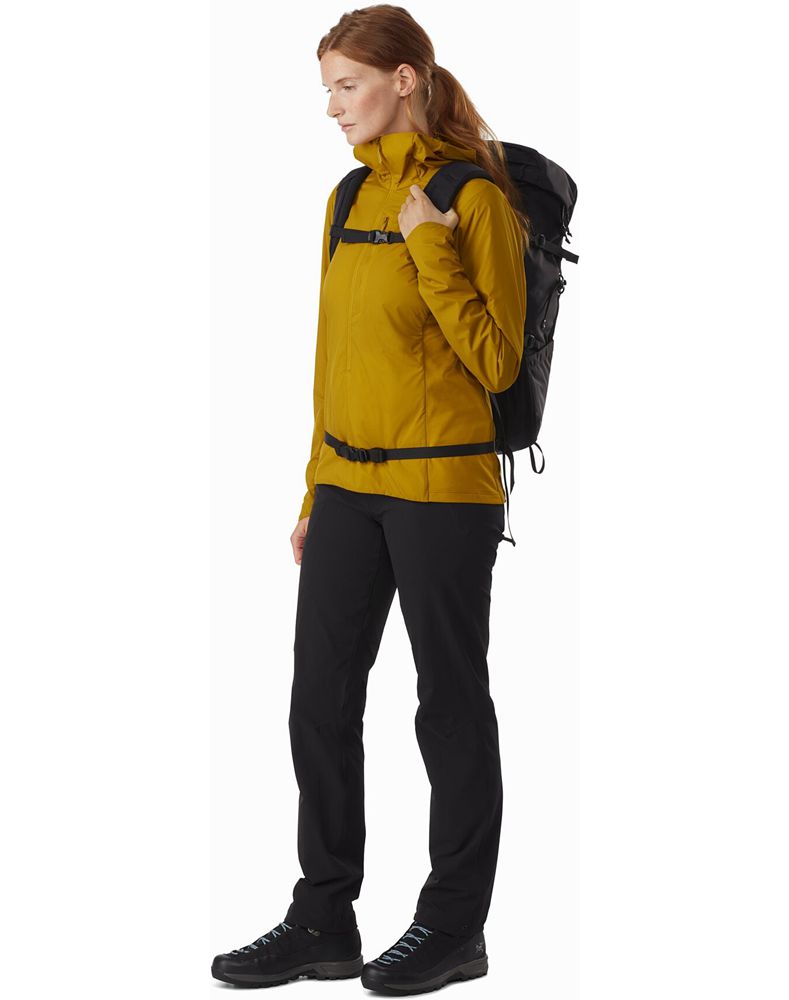 Arc'teryx Brize 25 Backpack Mens - Black