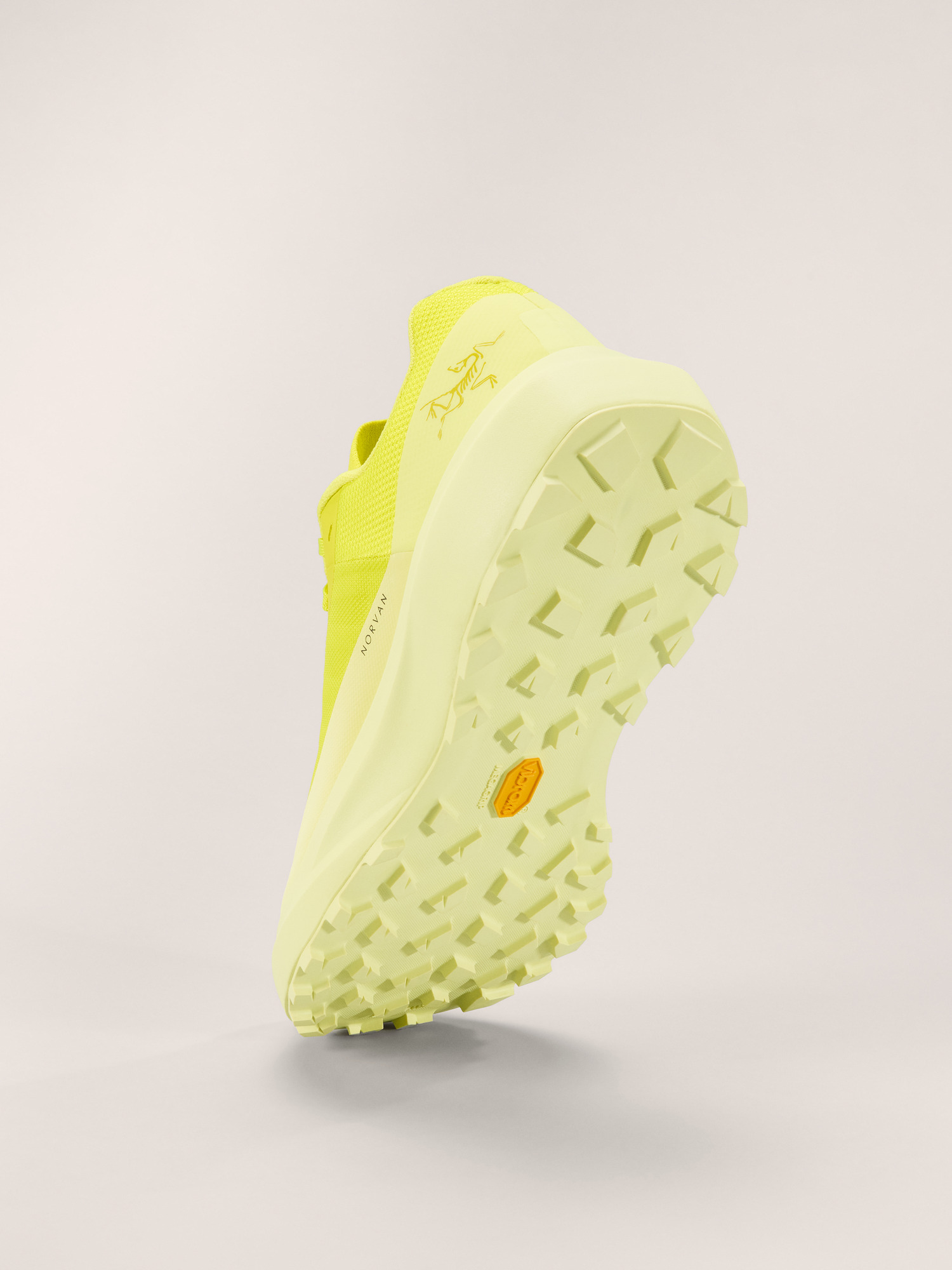 Norvan LD 4 Shoe Men's