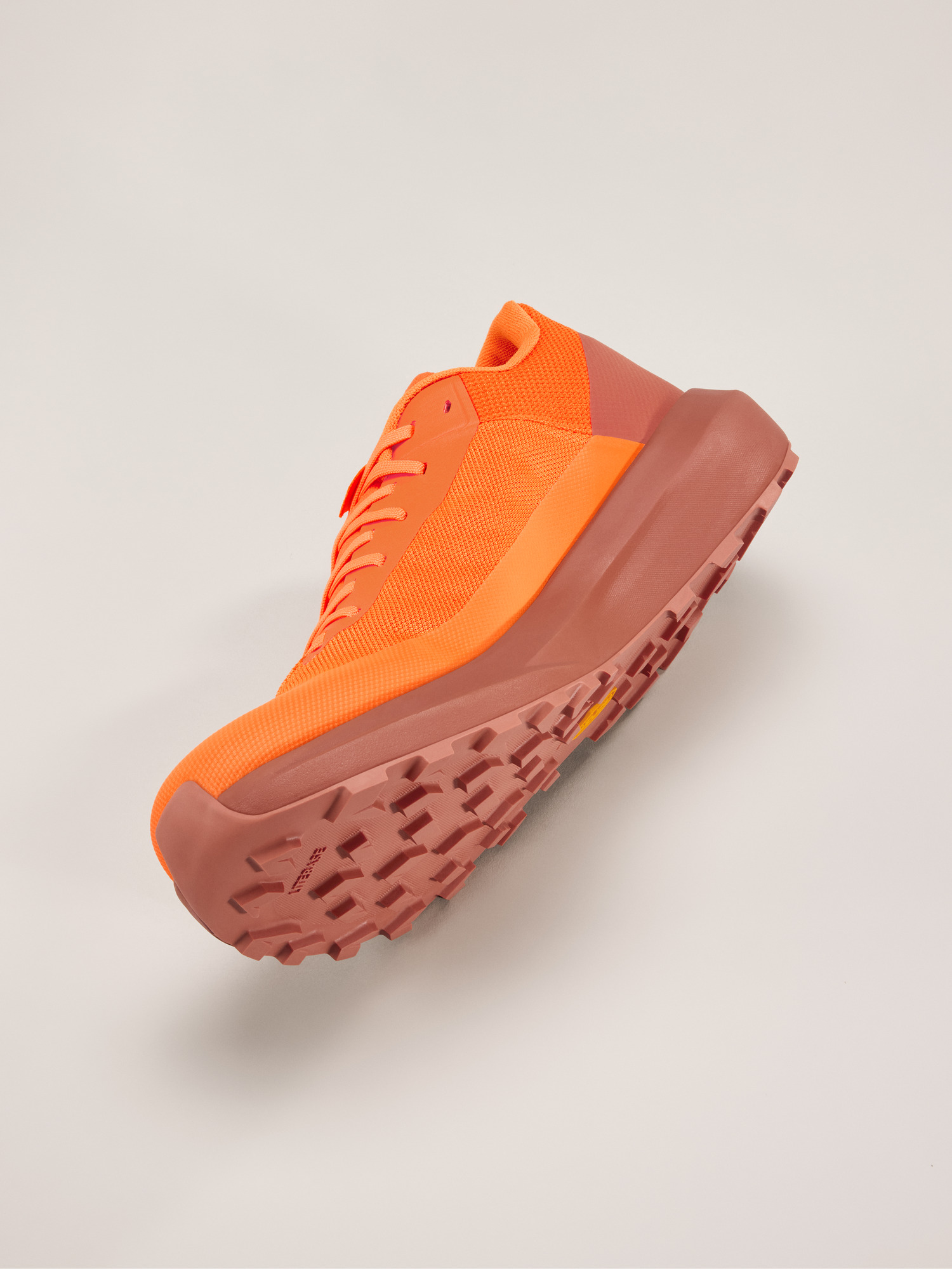 Norvan LD 4 Shoe Men's