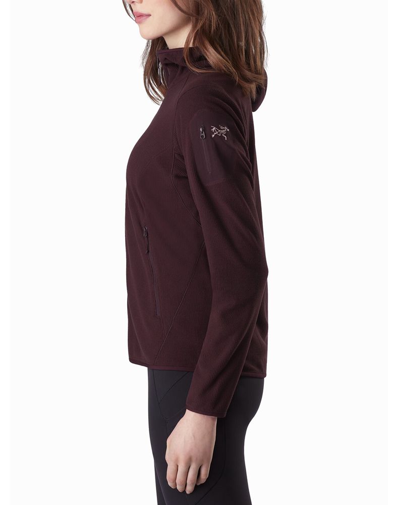 Arc'teryx Delta LT Hoodie Womens - Purple