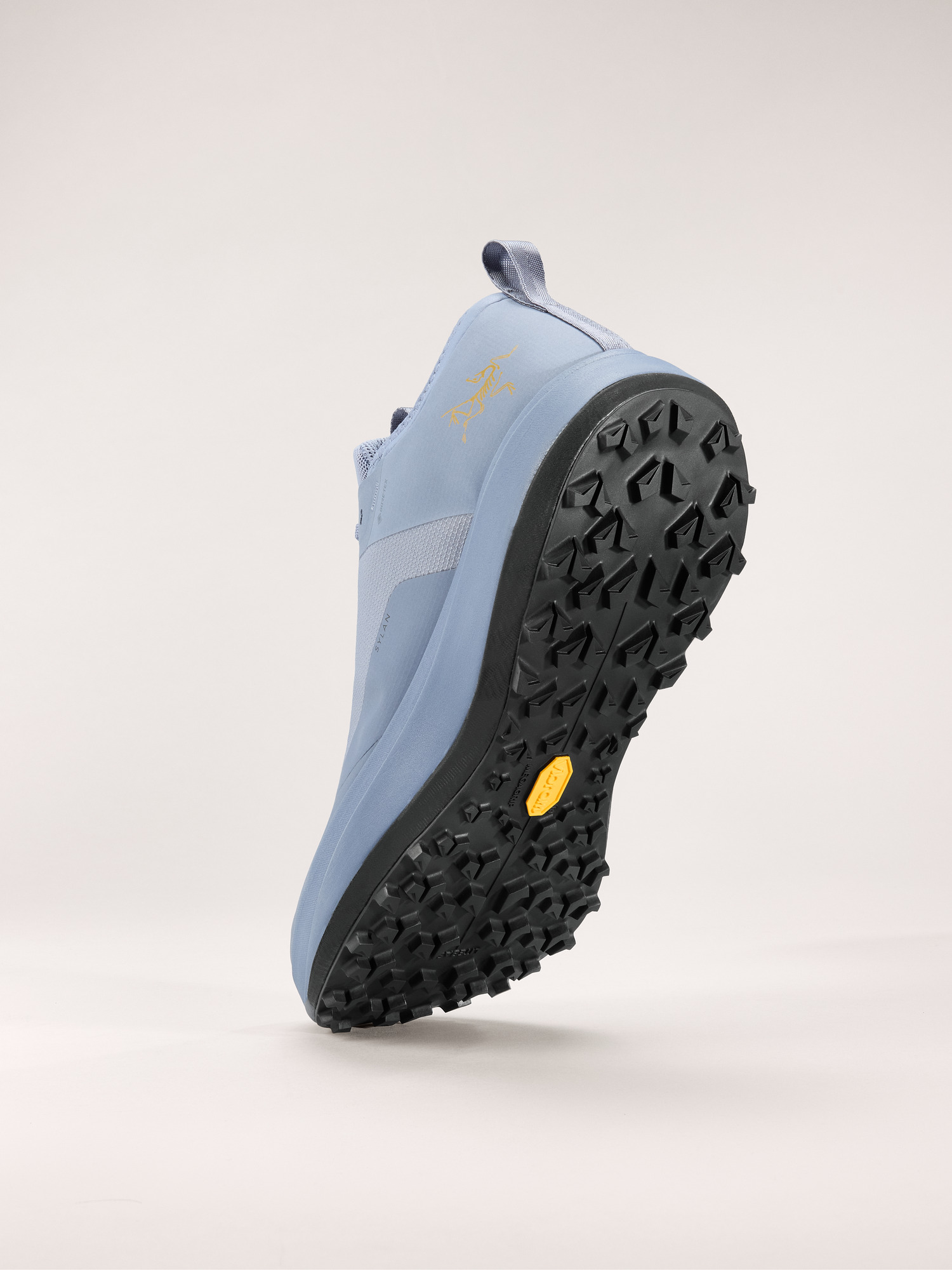 Sylan GTX Shoe Men's