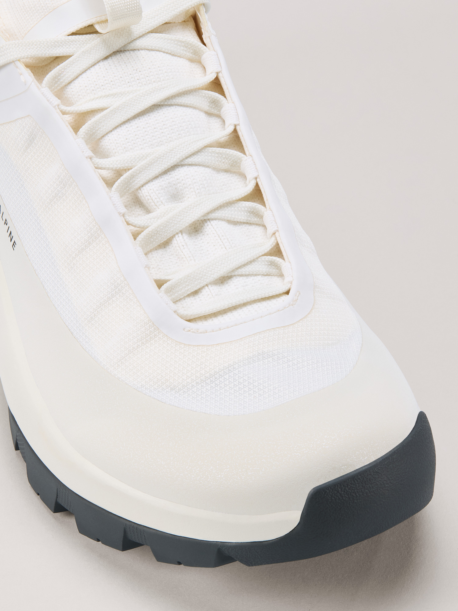 Vertex Alpine GTX Shoe Women's