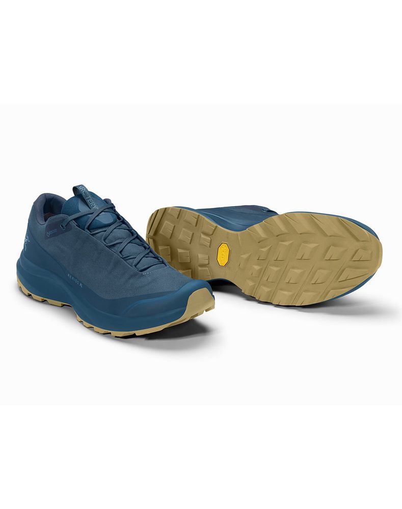 Arc'teryx Aerios FL GTX Hiking Shoes Mens - Blue