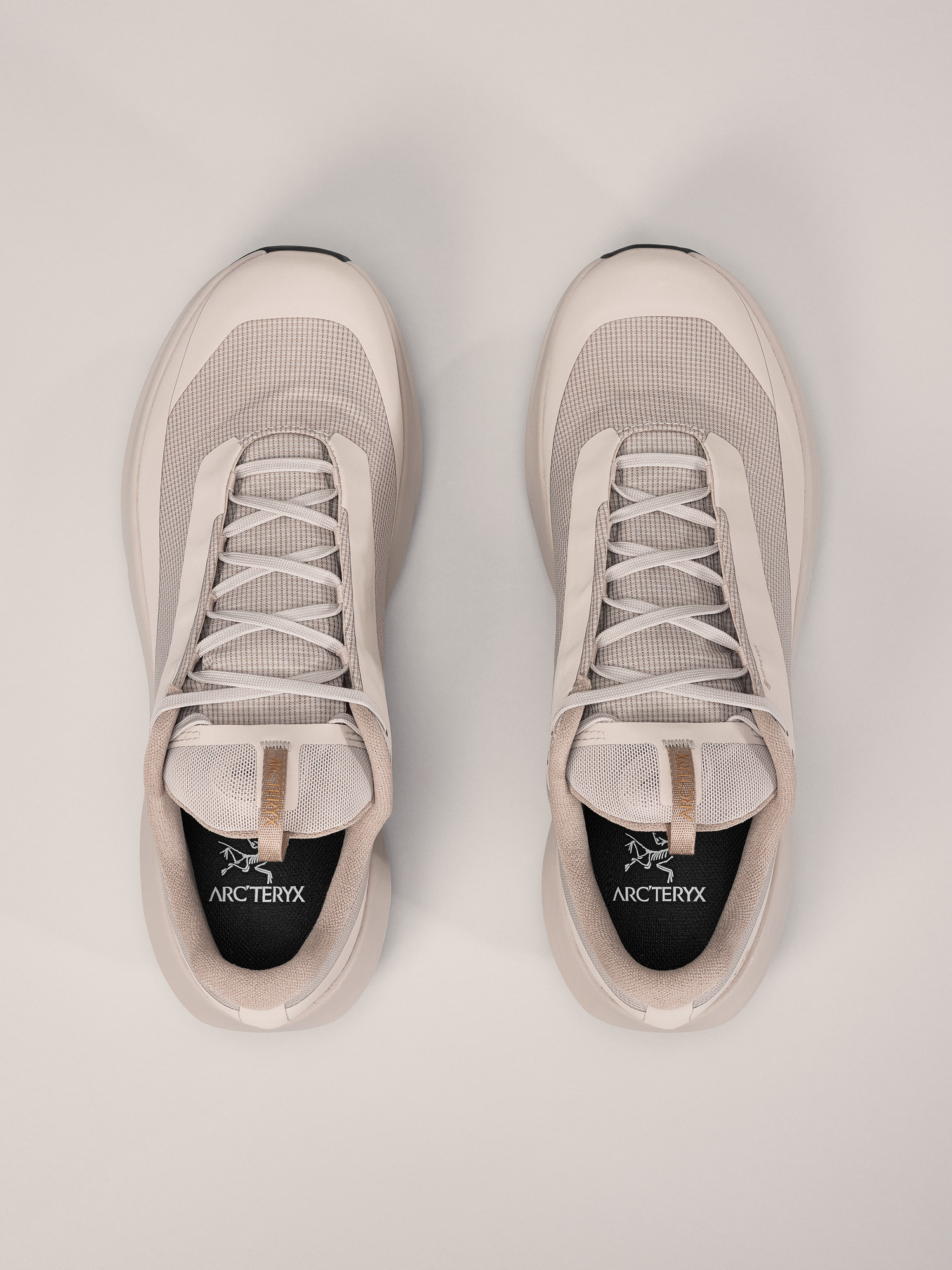 Norvan LD 4 GTX Shoe Men's