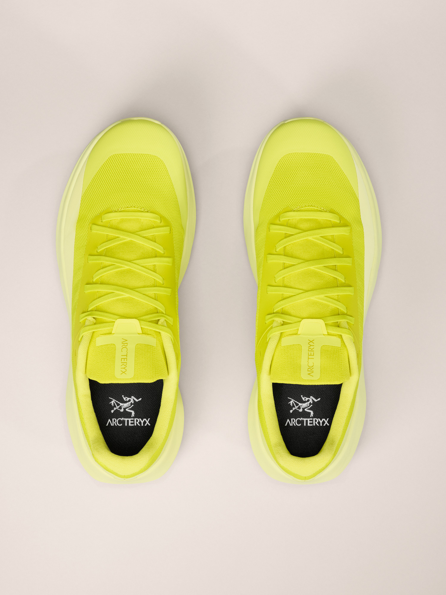 Norvan LD 4 Shoe Men's