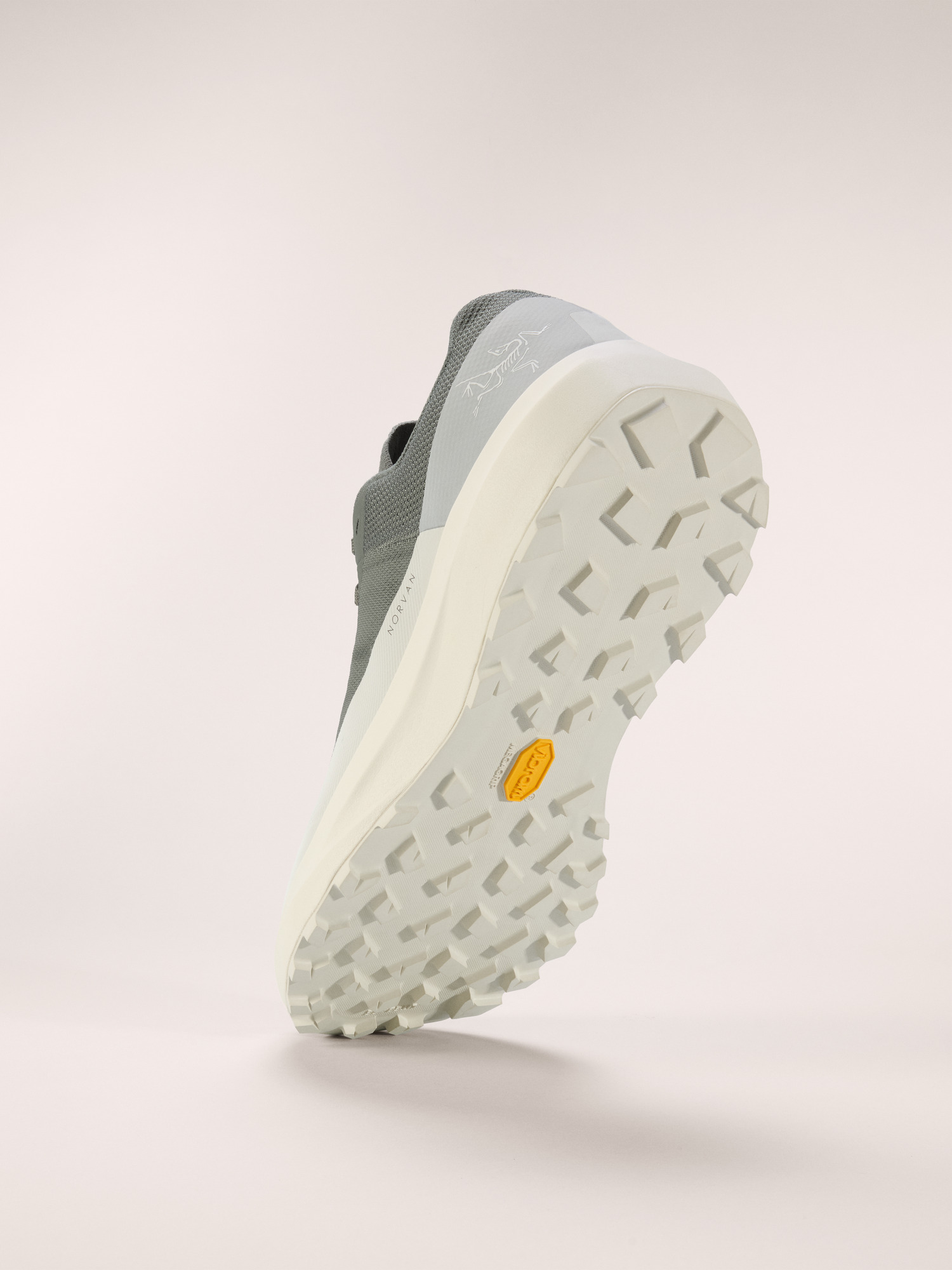 Norvan LD 4 Shoe Men's