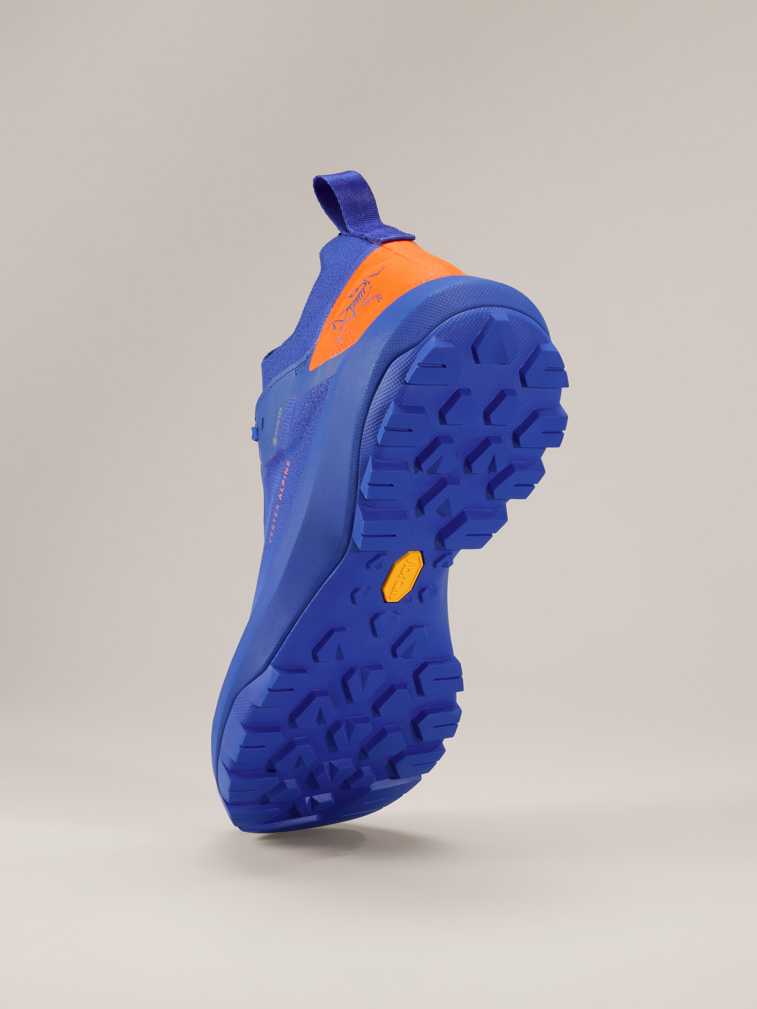 Vertex Alpine GTX Shoe Men's