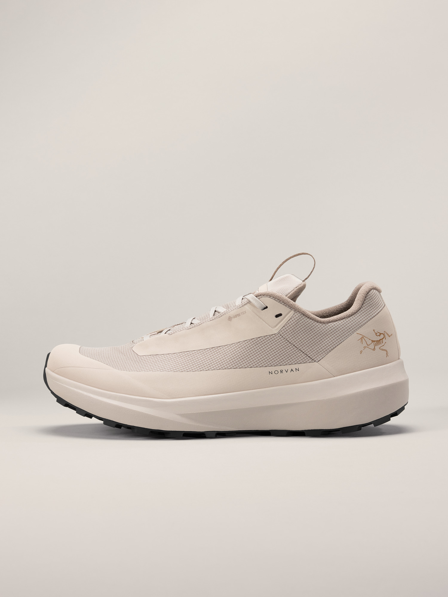 Norvan LD 4 GTX Shoe Men's
