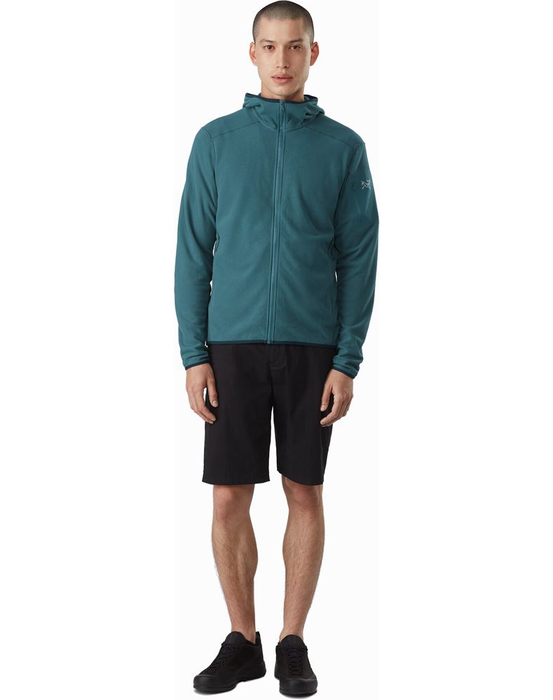 Arc'teryx Delta LT Hoodie Mens - Green