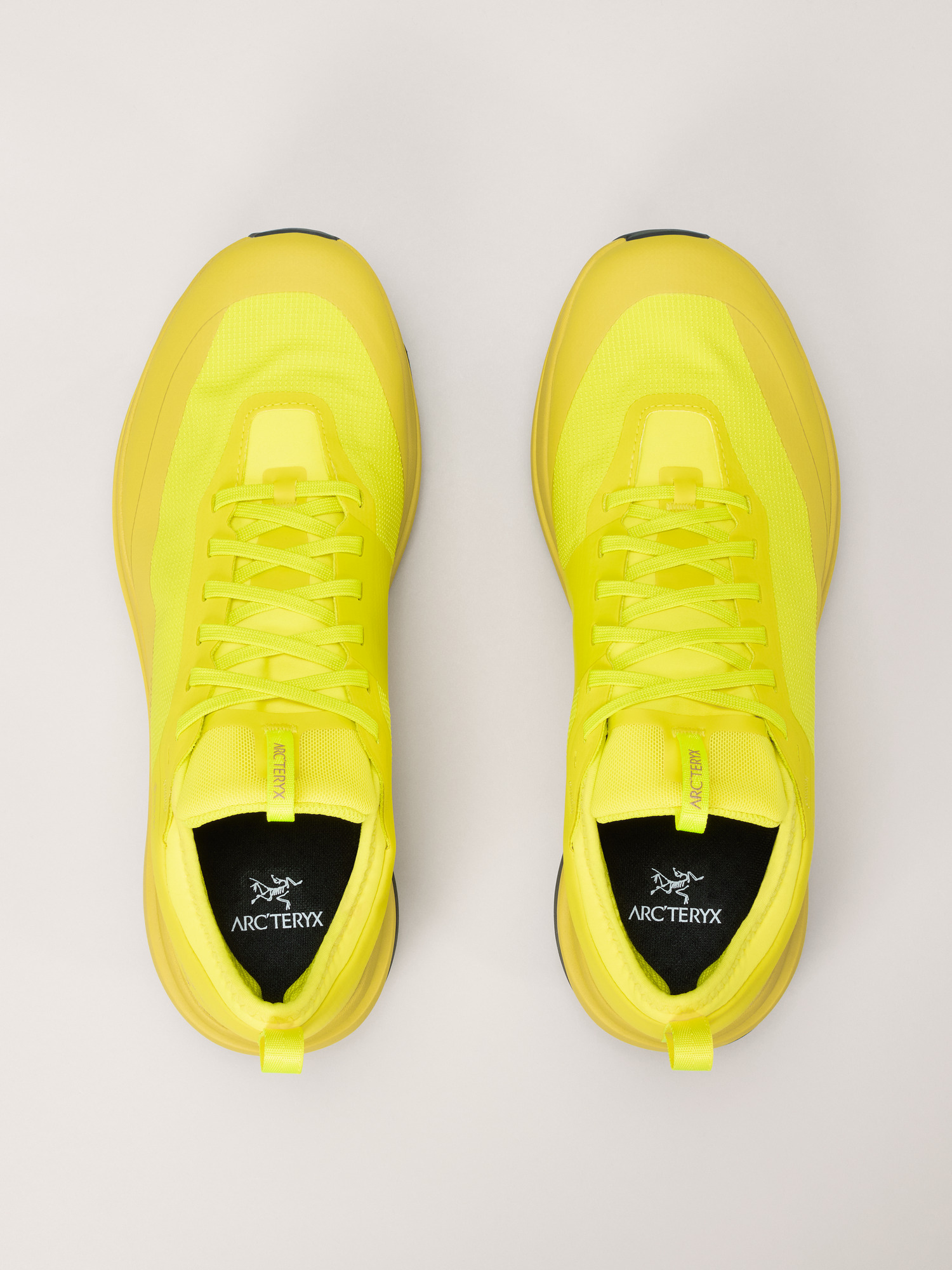 Sylan GTX Shoe Men's