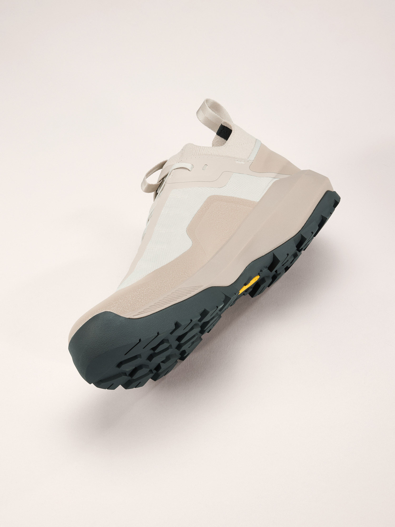 Vertex Alpine GTX Shoe Men's