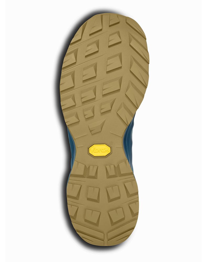 Arc'teryx Aerios FL GTX Hiking Shoes Mens - Blue