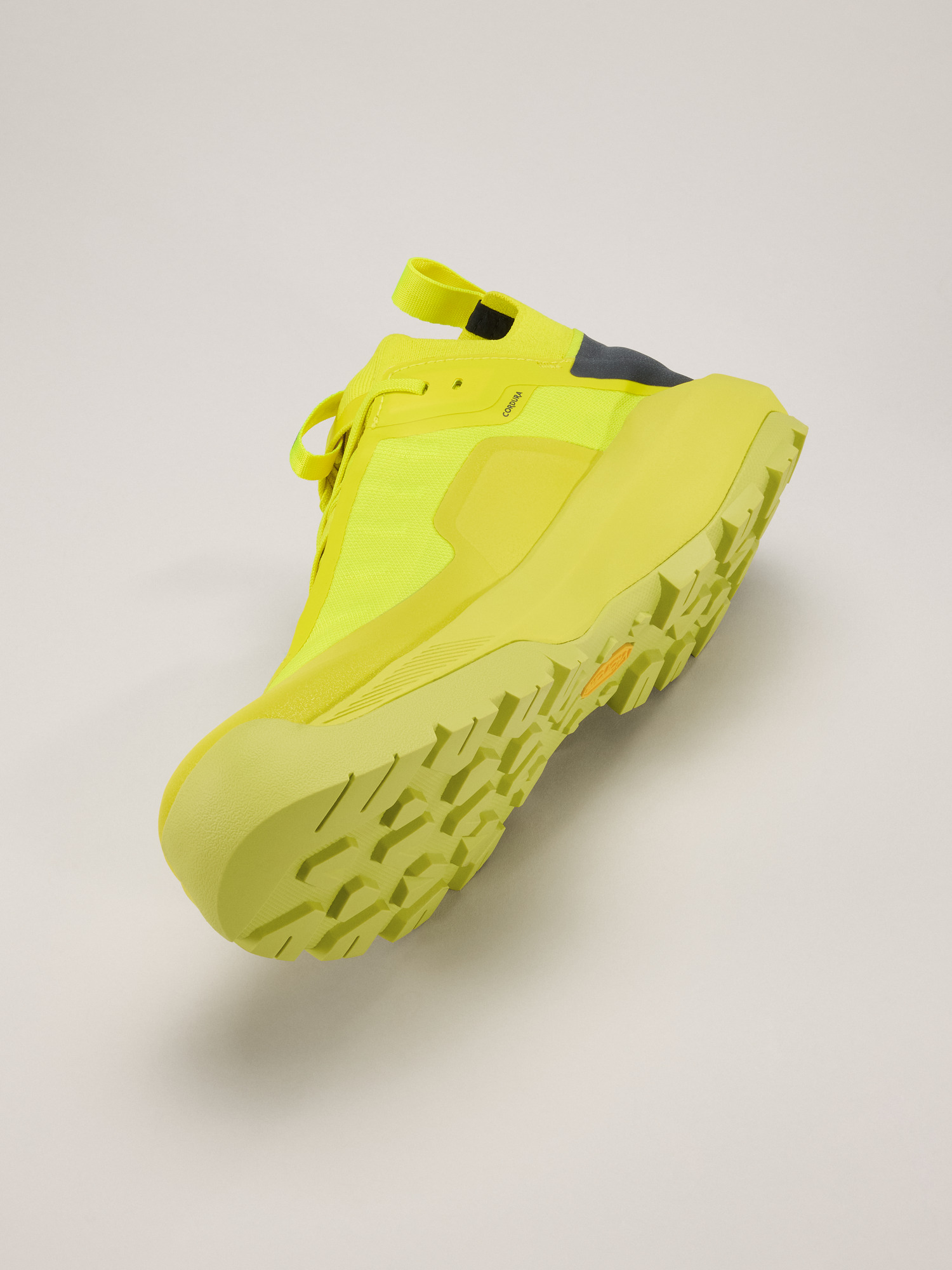 Vertex Alpine GTX Shoe Men's