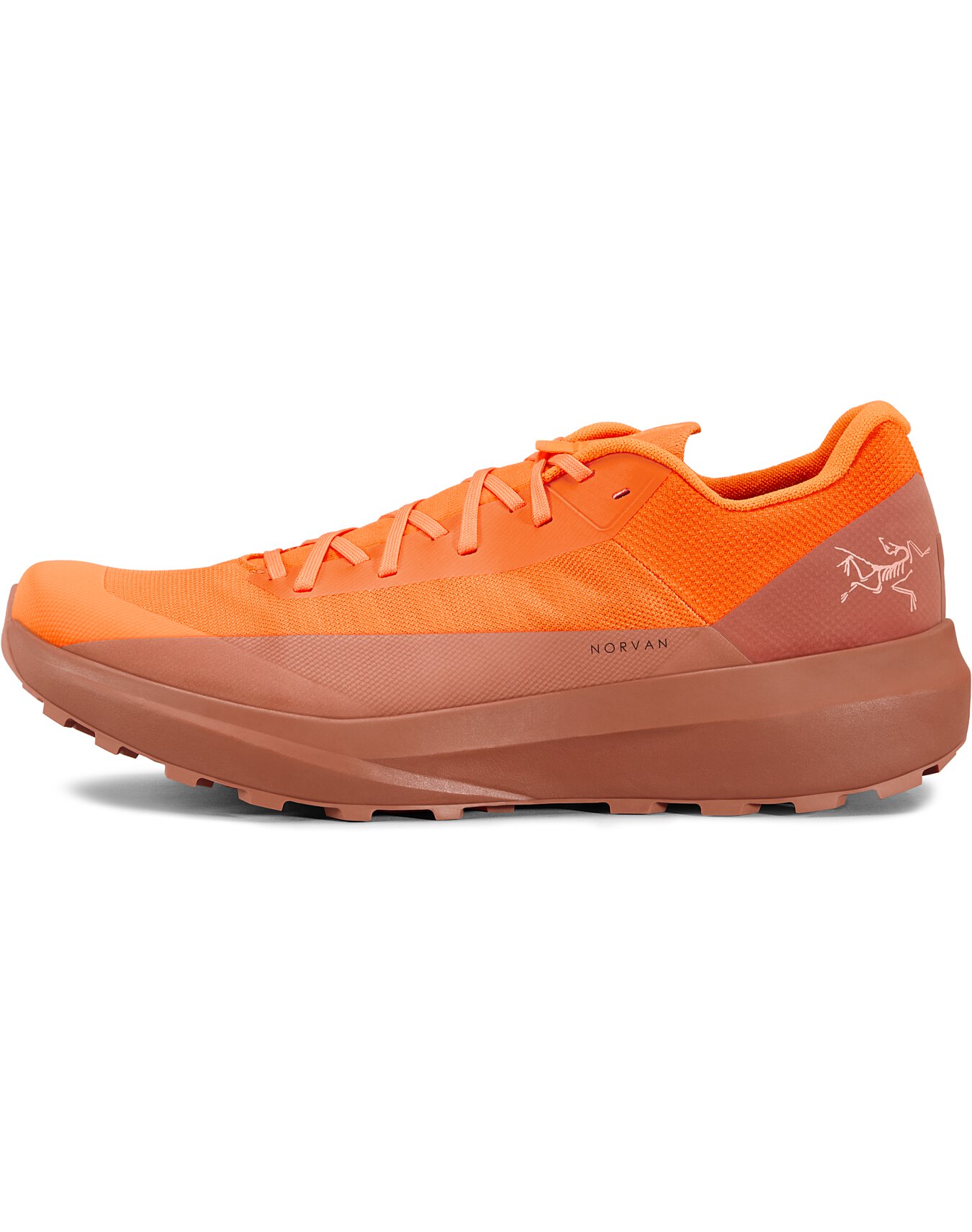 Norvan LD 4 Shoe Men's