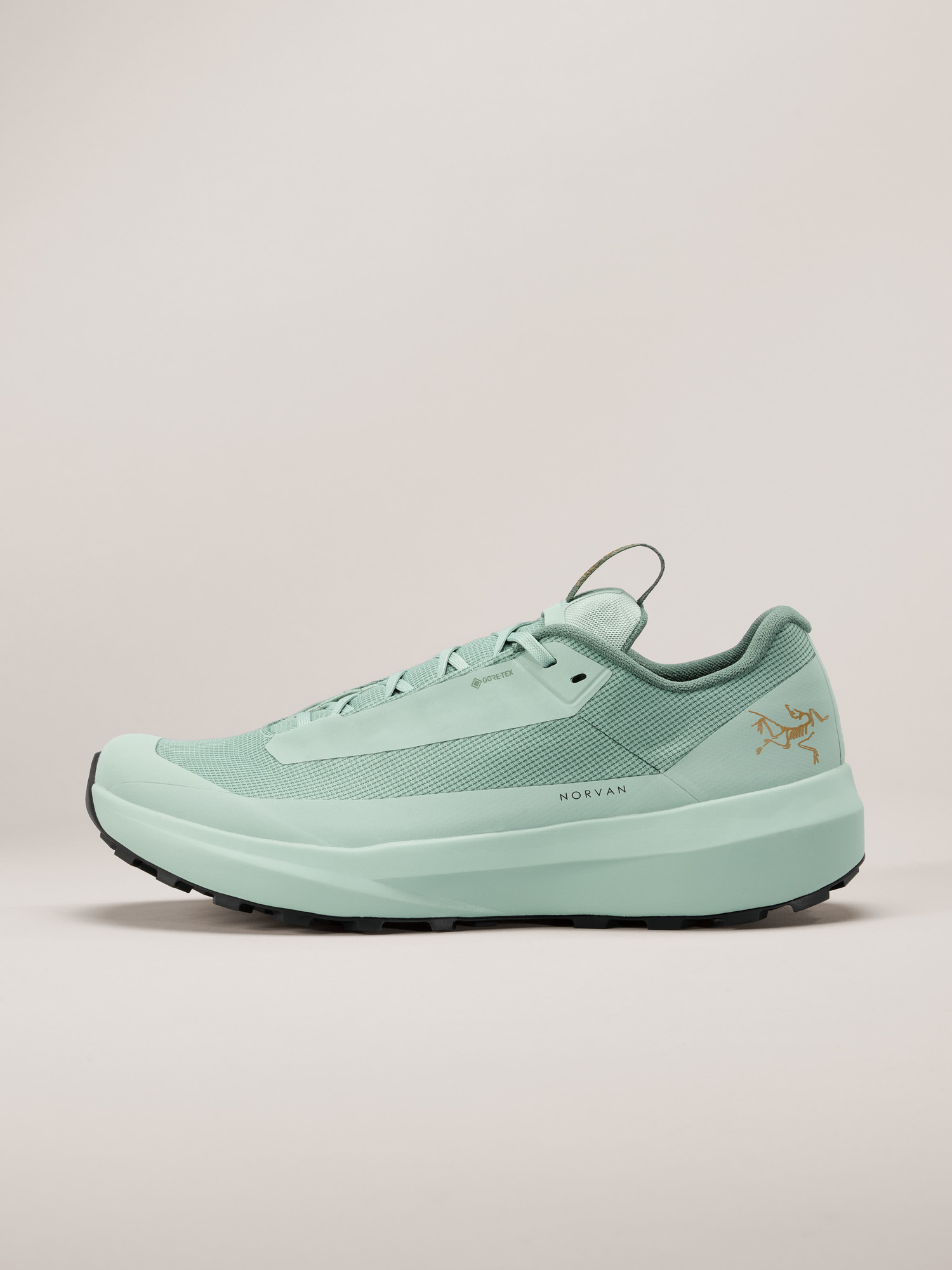 Norvan LD 4 GTX Shoe Men's