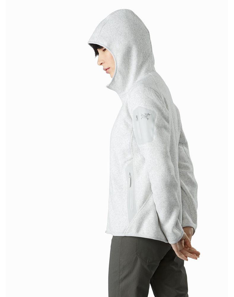 Arc'teryx Covert Hoodie Womens - Grey