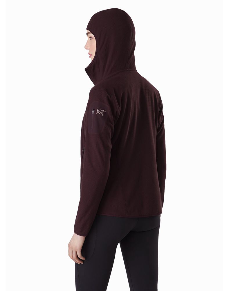Arc'teryx Delta LT Hoodie Womens - Purple