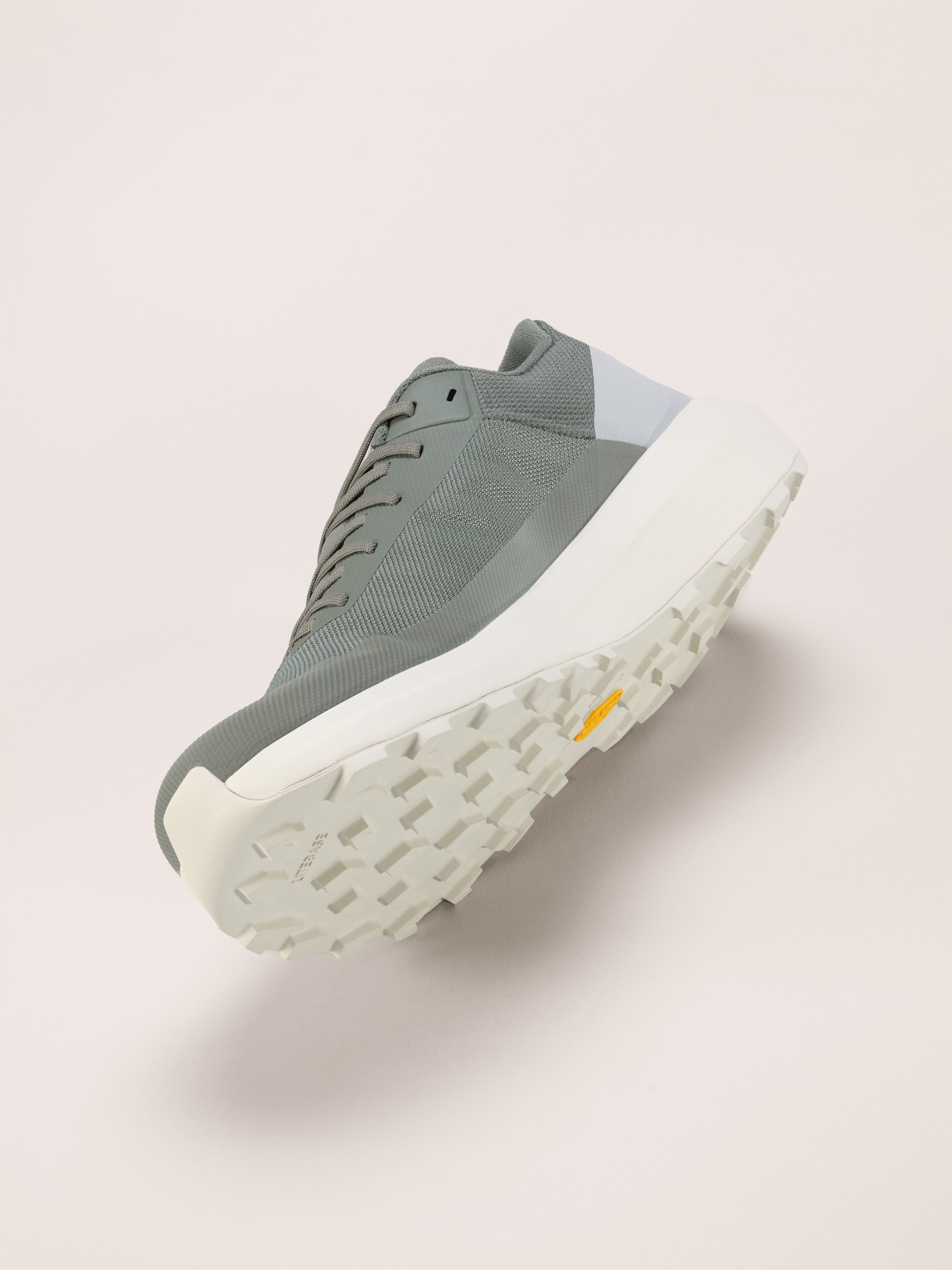 Norvan LD 4 Shoe Men's