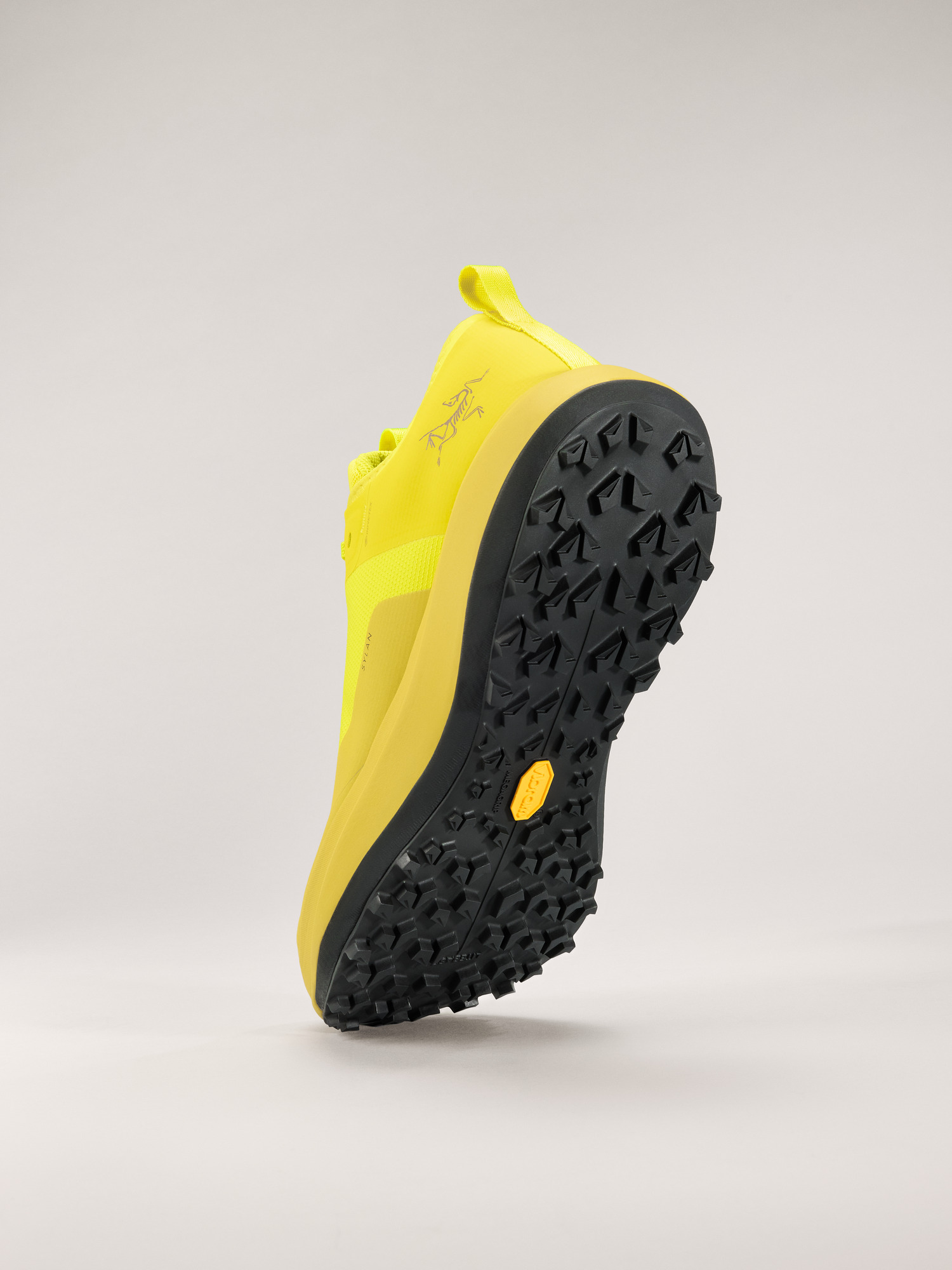 Sylan GTX Shoe Men's