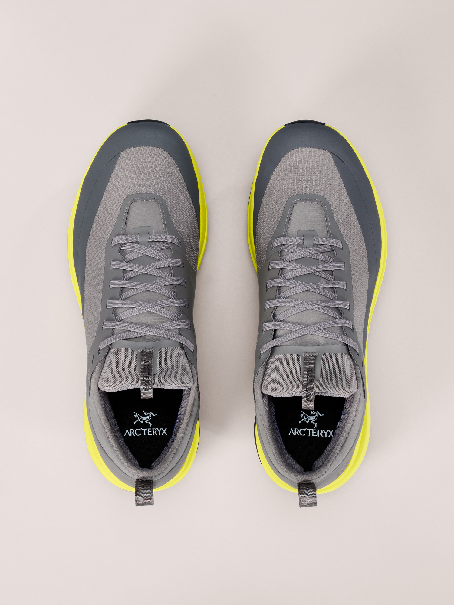 Sylan GTX Shoe Men's