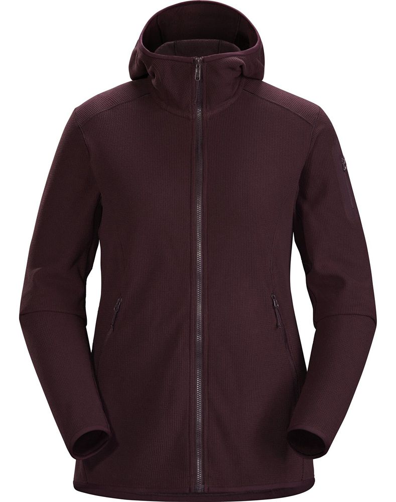 Arc'teryx Delta LT Hoodie Womens - Purple