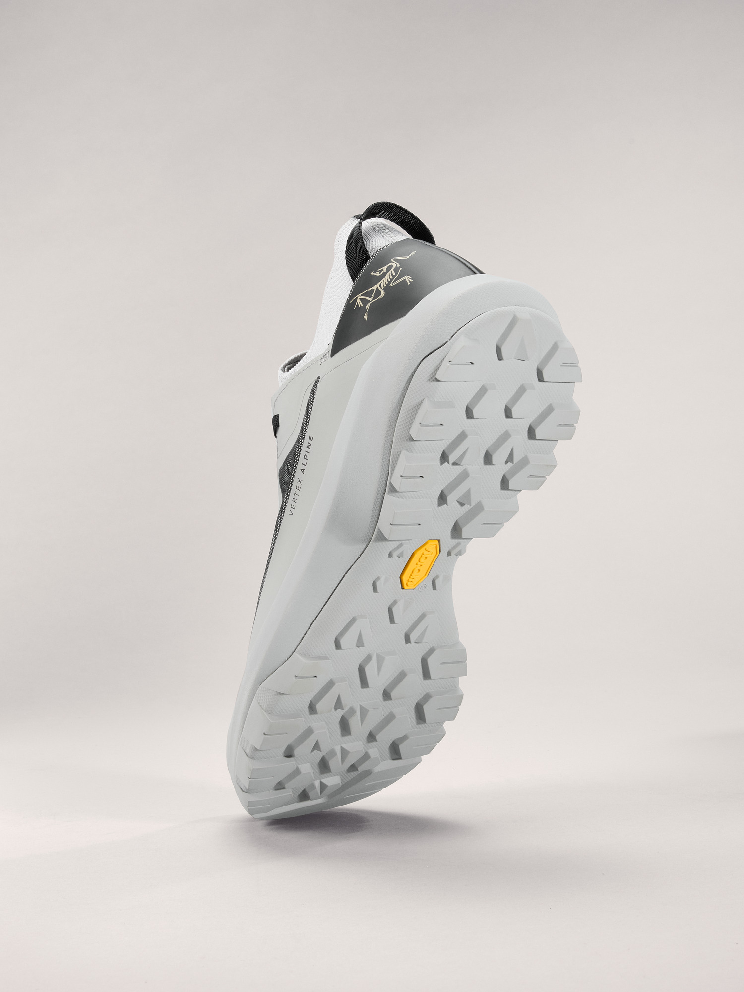 Vertex Alpine Shoe Men's