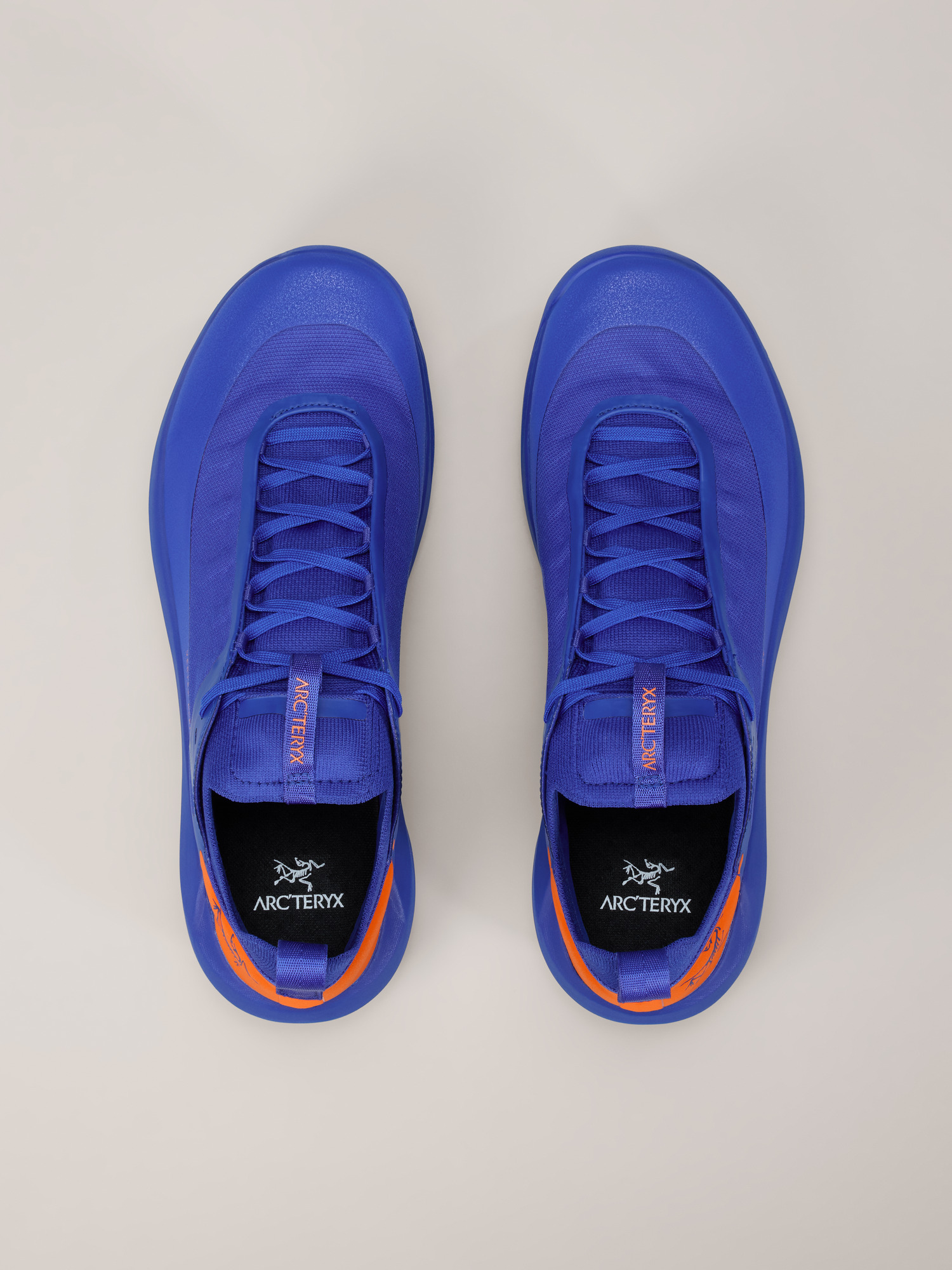 Vertex Alpine GTX Shoe Men's