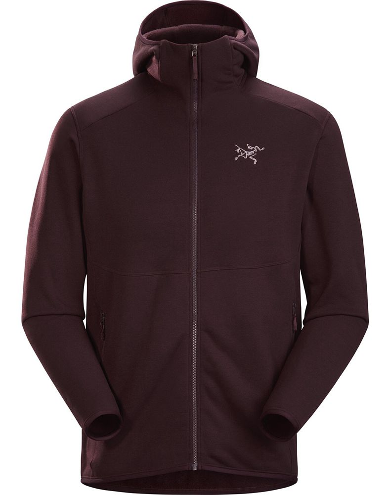 Arc'teryx Kyanite AR Hoodie Mens - Purple