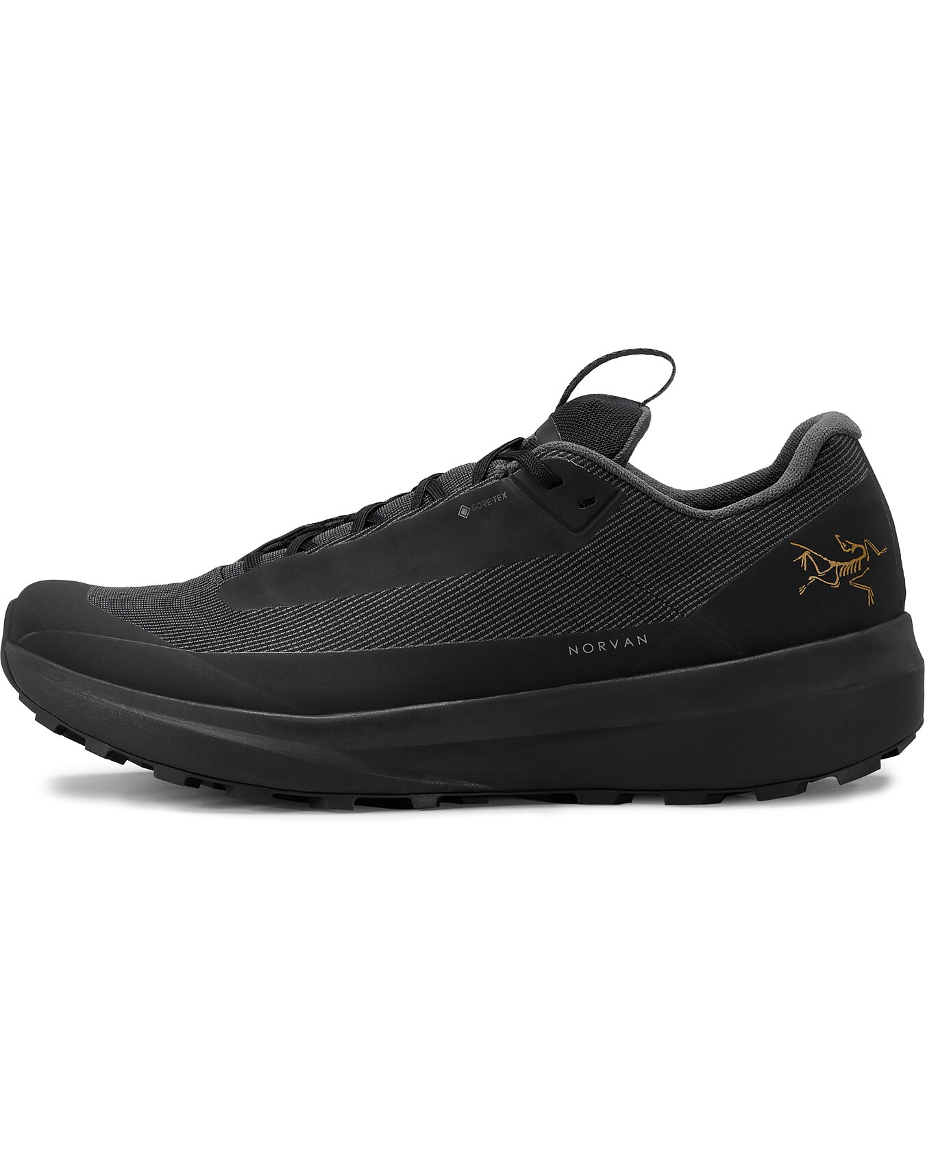 Norvan LD 4 GTX Shoe Men's