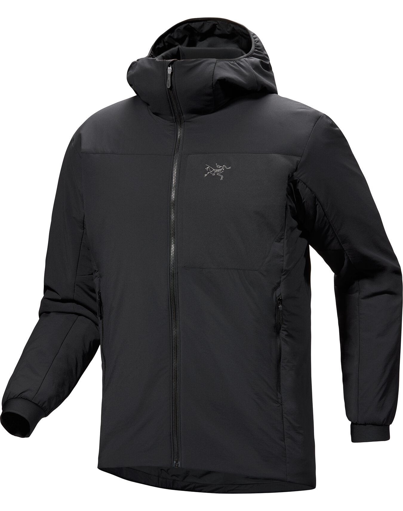 Proton Hoody Men's