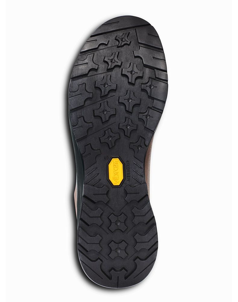 Arc'teryx Konseal FL 2 Leather GTX Approach Shoes Womens - Pink