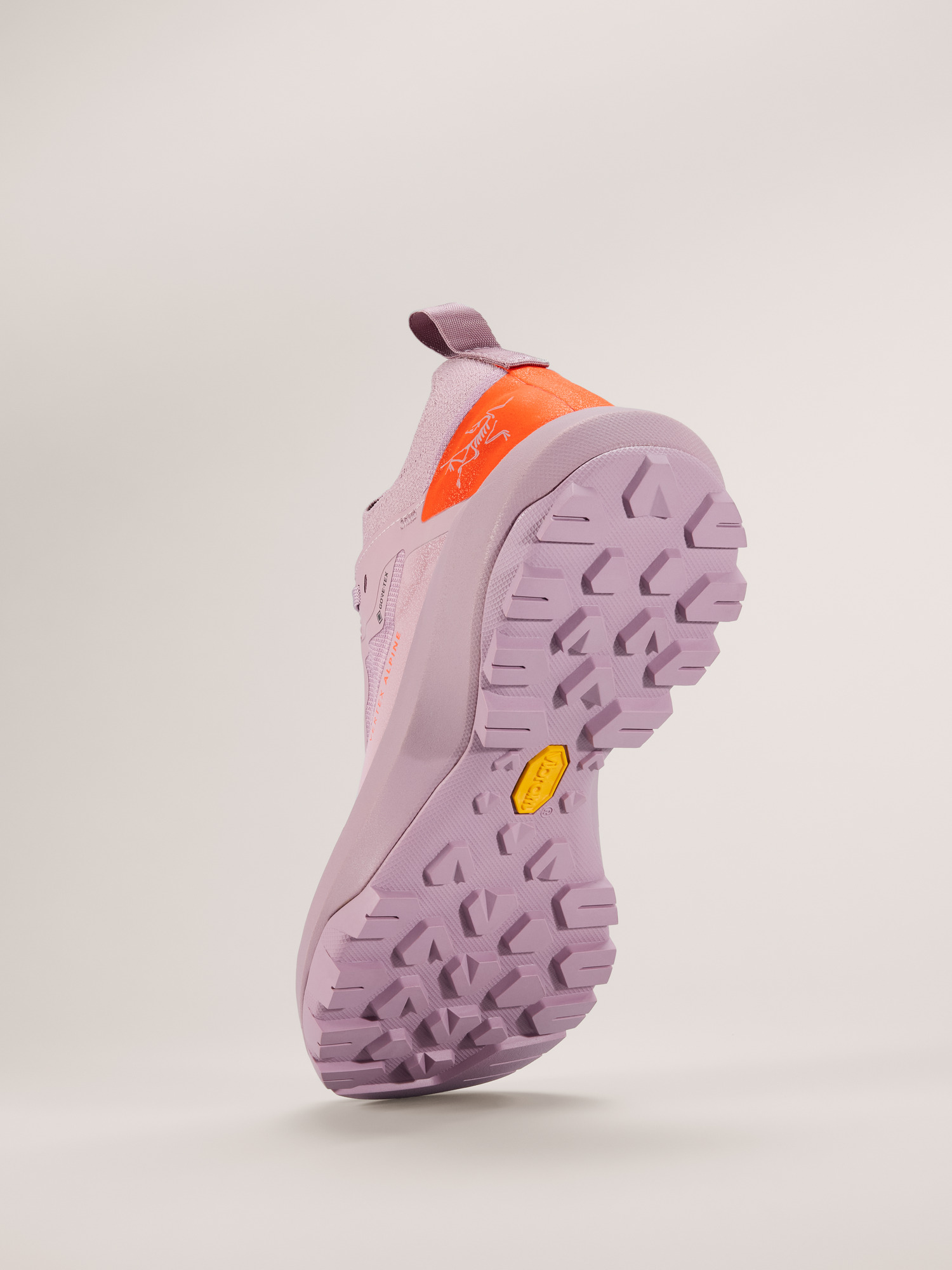 Vertex Alpine GTX Shoe Women's