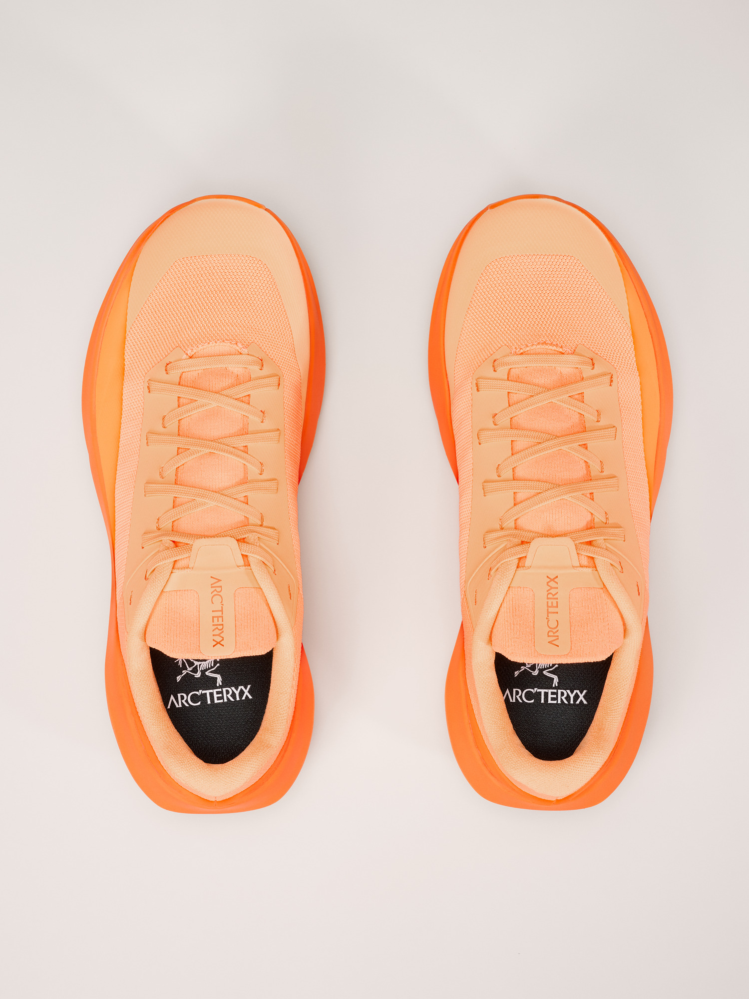 Norvan LD 4 Shoe Women's