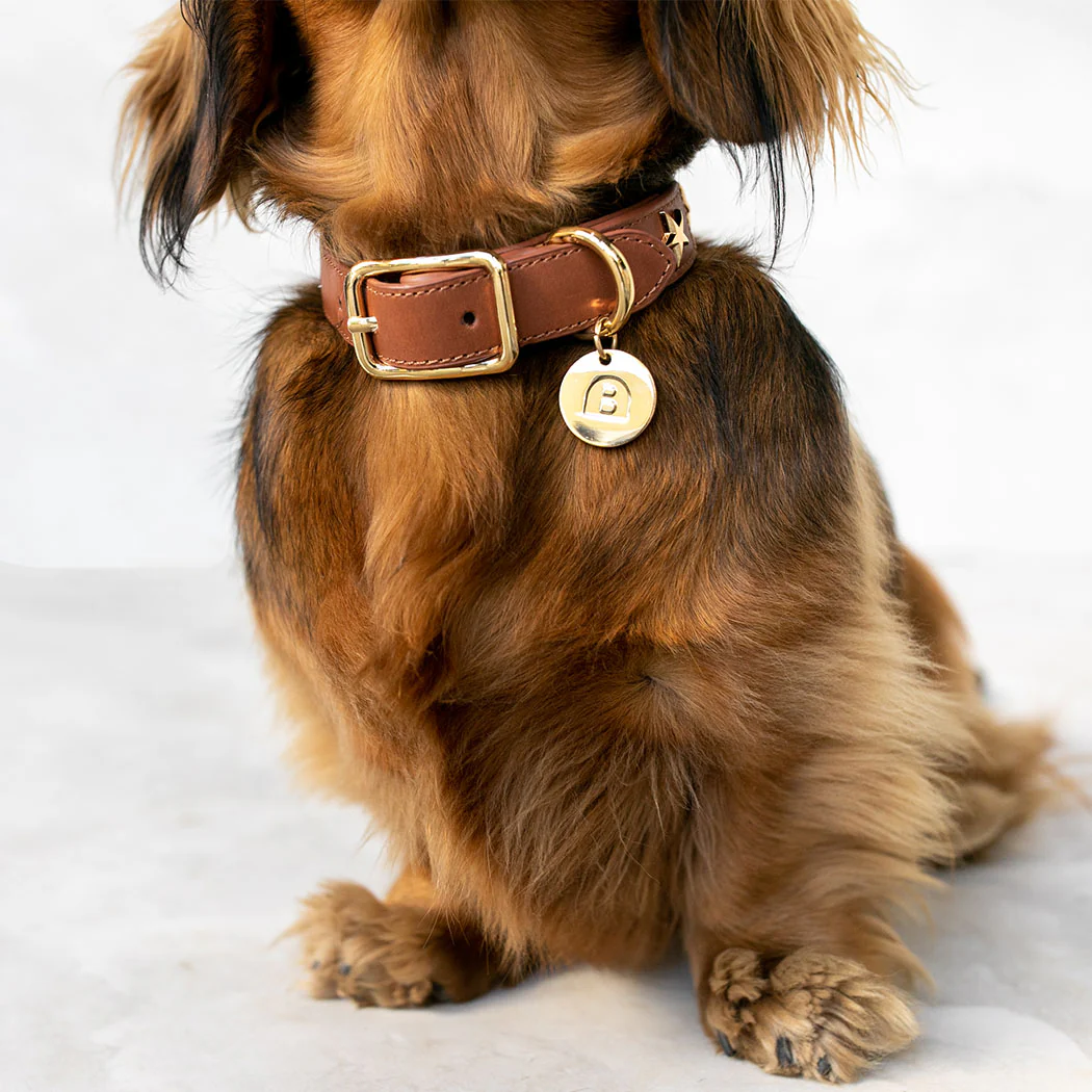 Dog Collar Chocolate Leather