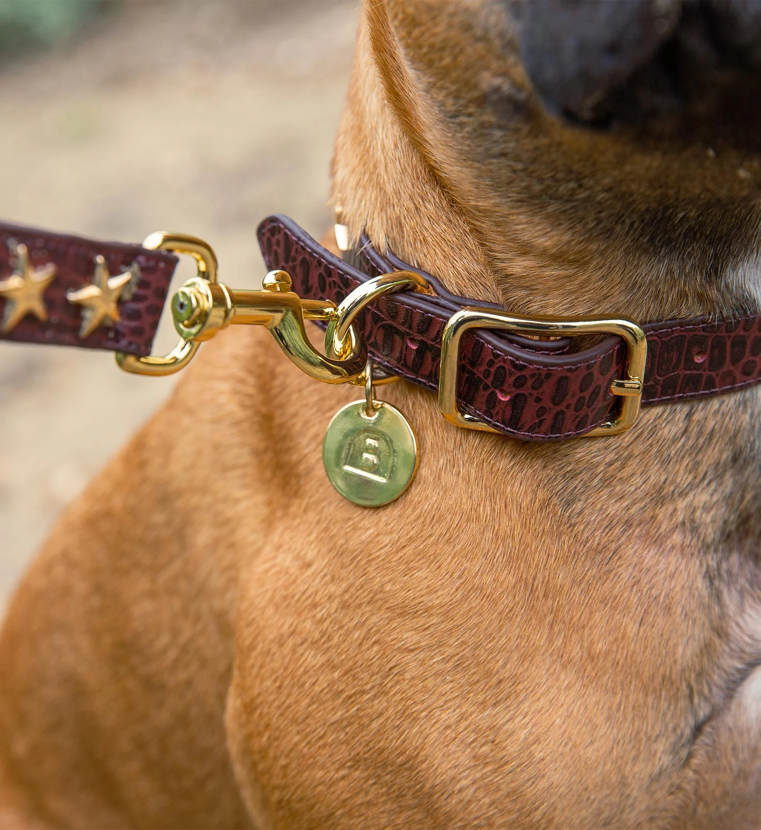 Dog Collar & Lead Burgundy Croc Leather
