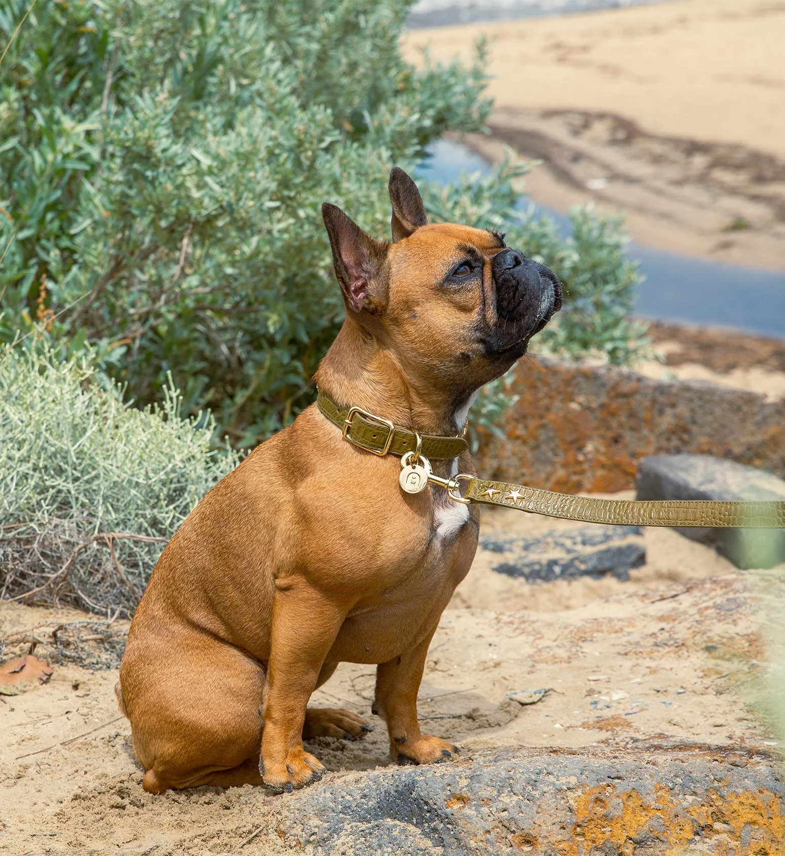Dog Collar & Lead Green Croc Emboss Leather