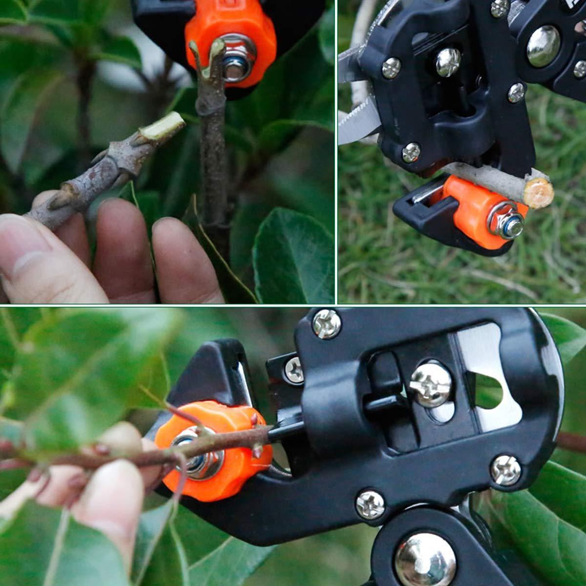 Professional Garden Grafting Tool Set