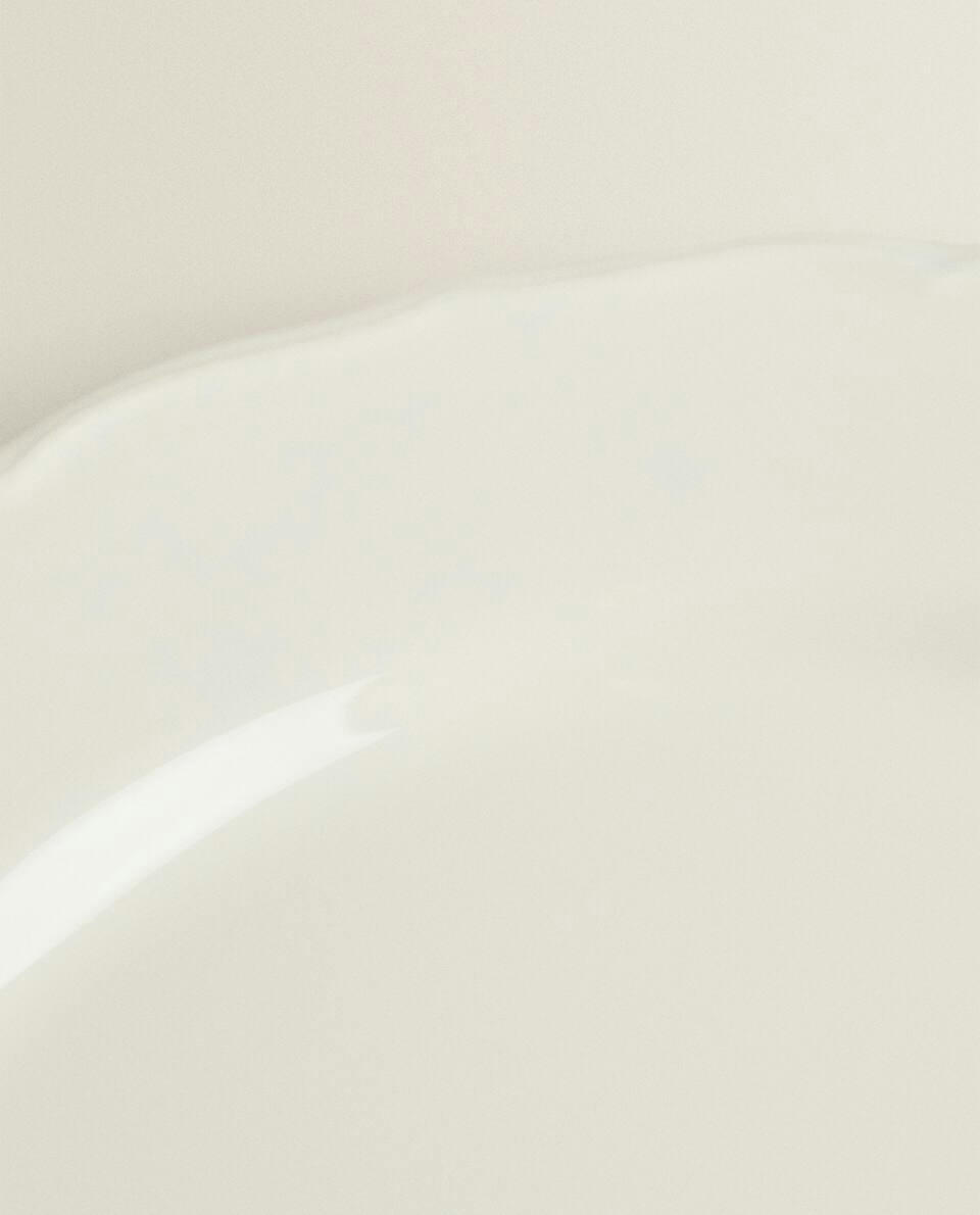 EARTHENWARE DINNER DISH WITH RAISED-DESIGN EDGE