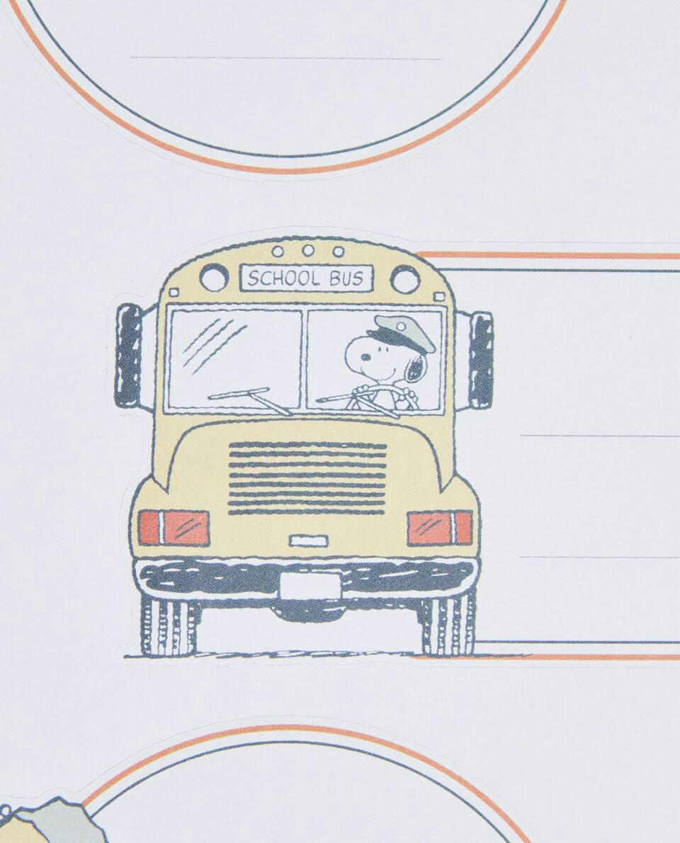 SET OF PEANUTS? IDENTIFYING STICKERS