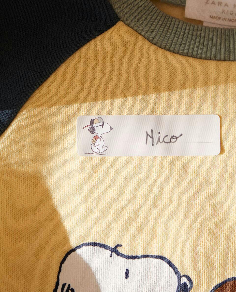 SET OF THERMO-ADHESIVE PEANUTS? STICKERS