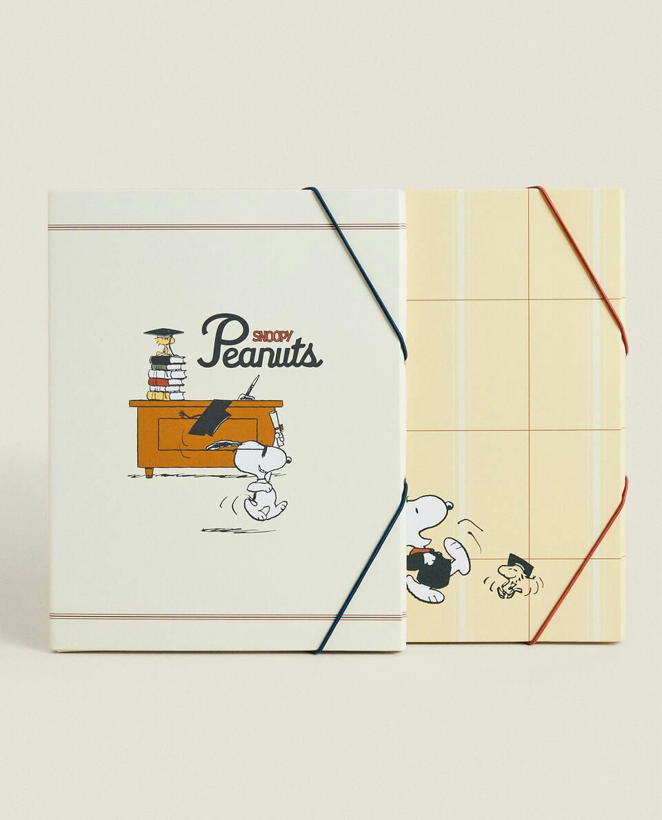 SET OF PEANUTS? FOLDERS