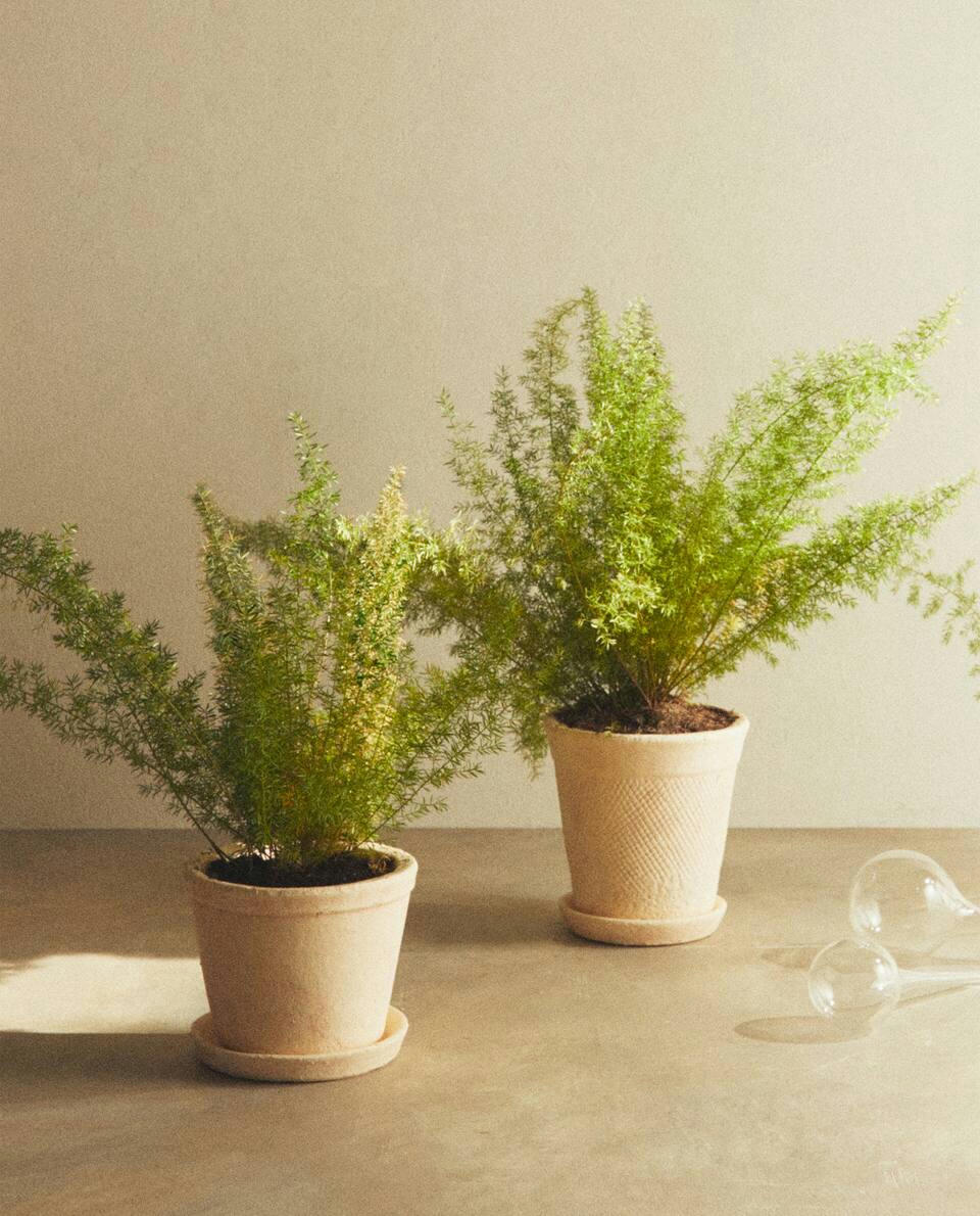 WHITE CLAY FLOWERPOT