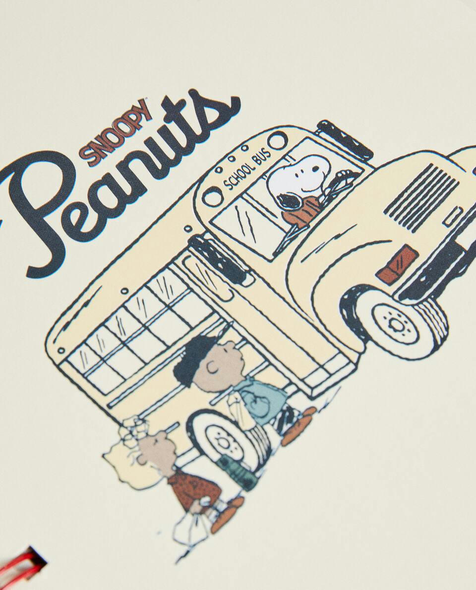 PEANUTS? NOTEBOOK