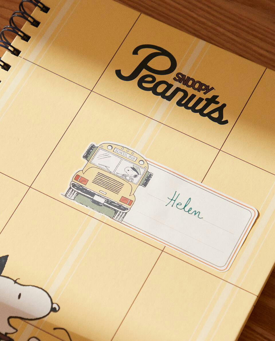 SET OF PEANUTS? IDENTIFYING STICKERS