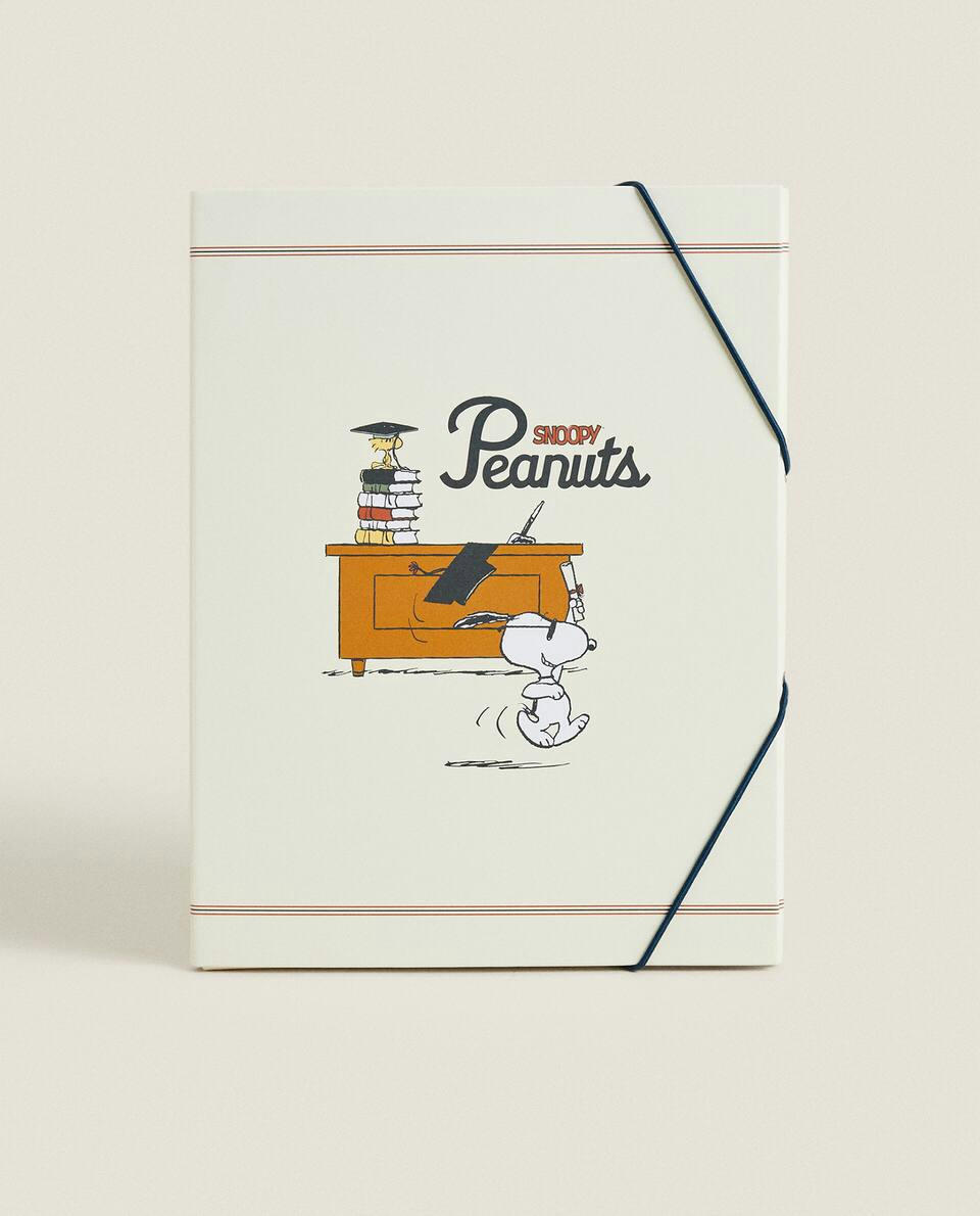 SET OF PEANUTS? FOLDERS
