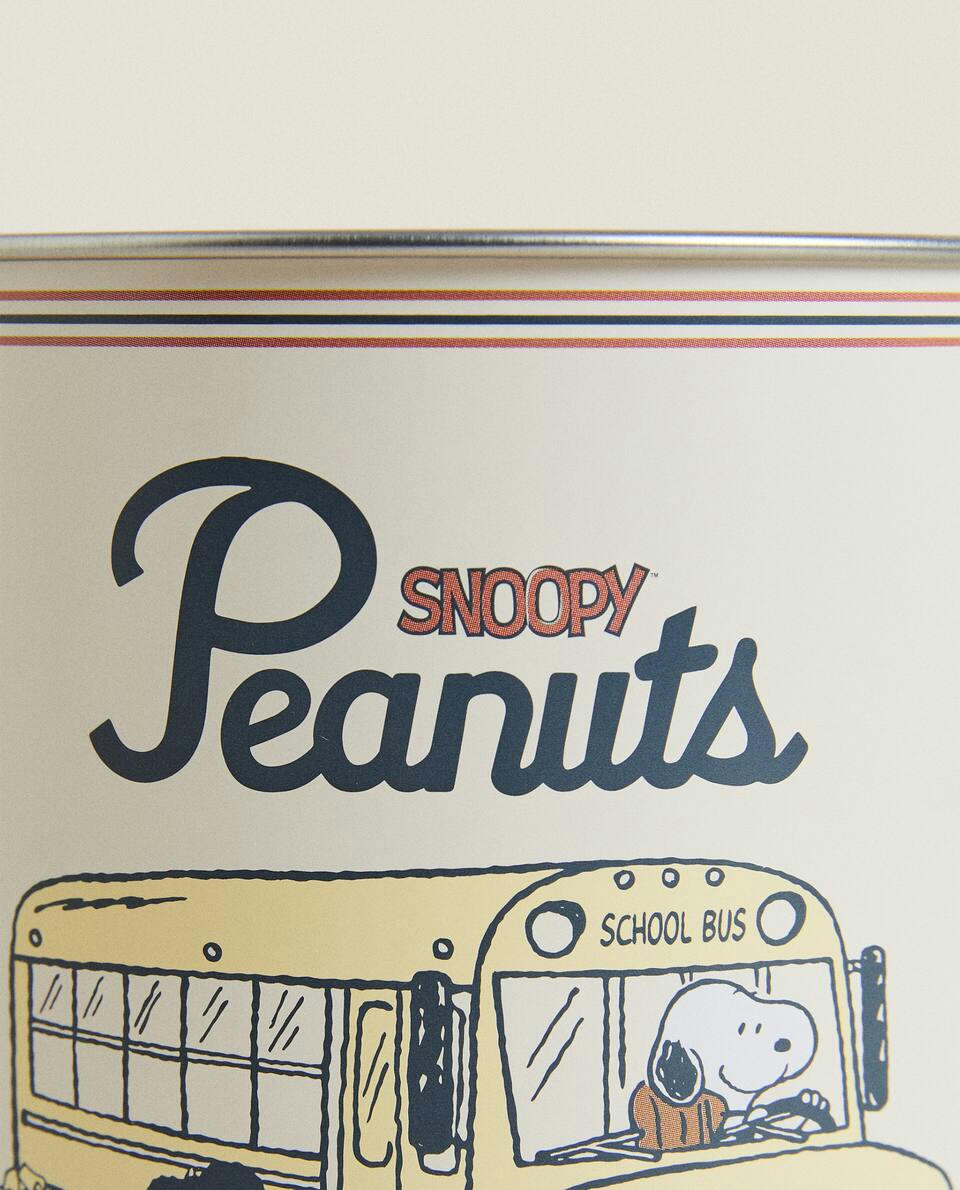 PEANUTS? PENCIL POT