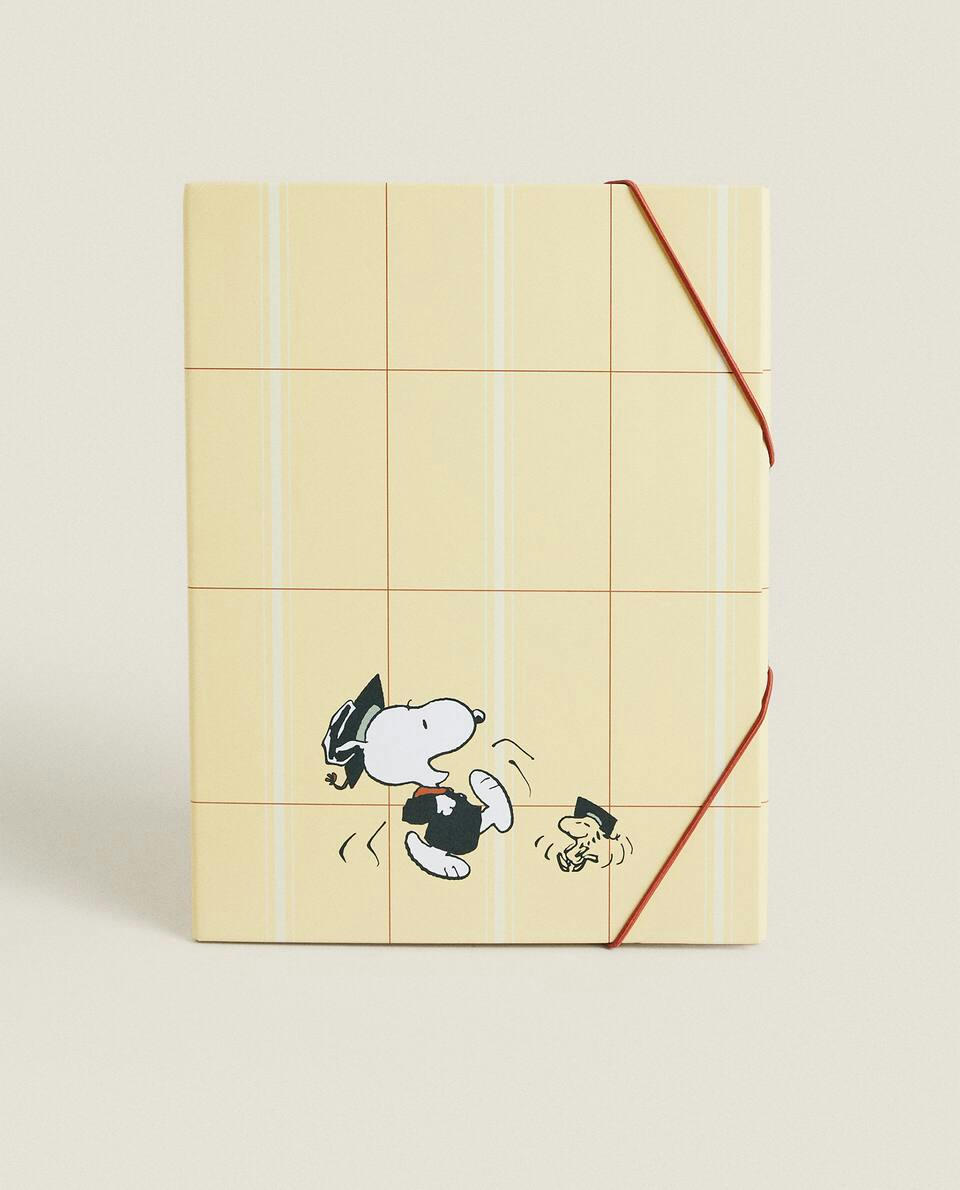 SET OF PEANUTS? FOLDERS