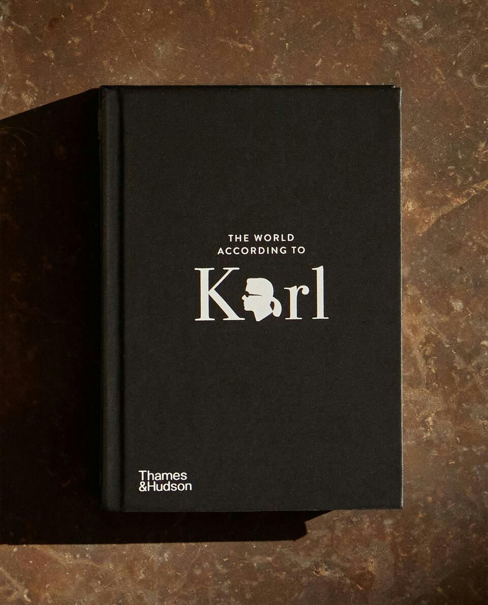 THE WORLD ACCORDING TO KARL