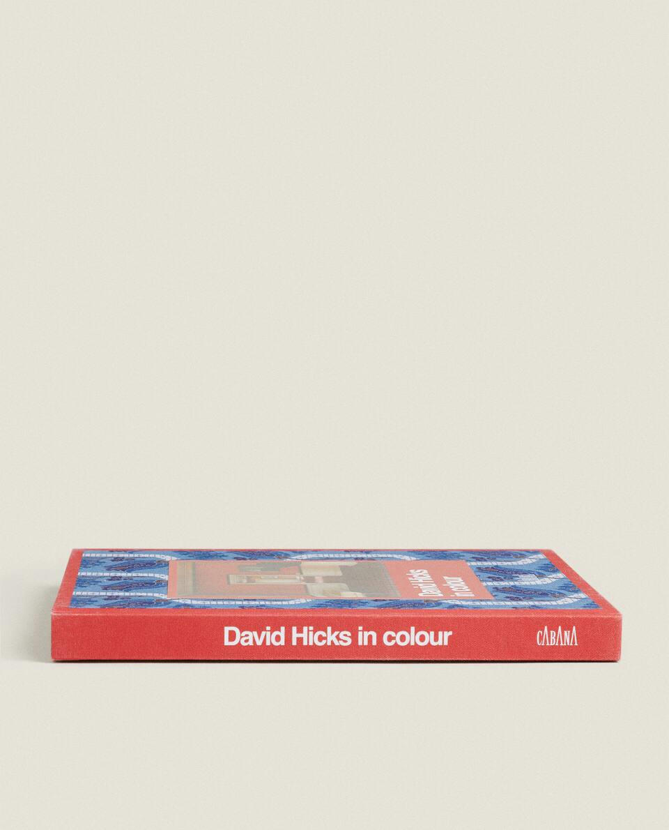DAVID HICKS X CABANA BOOK